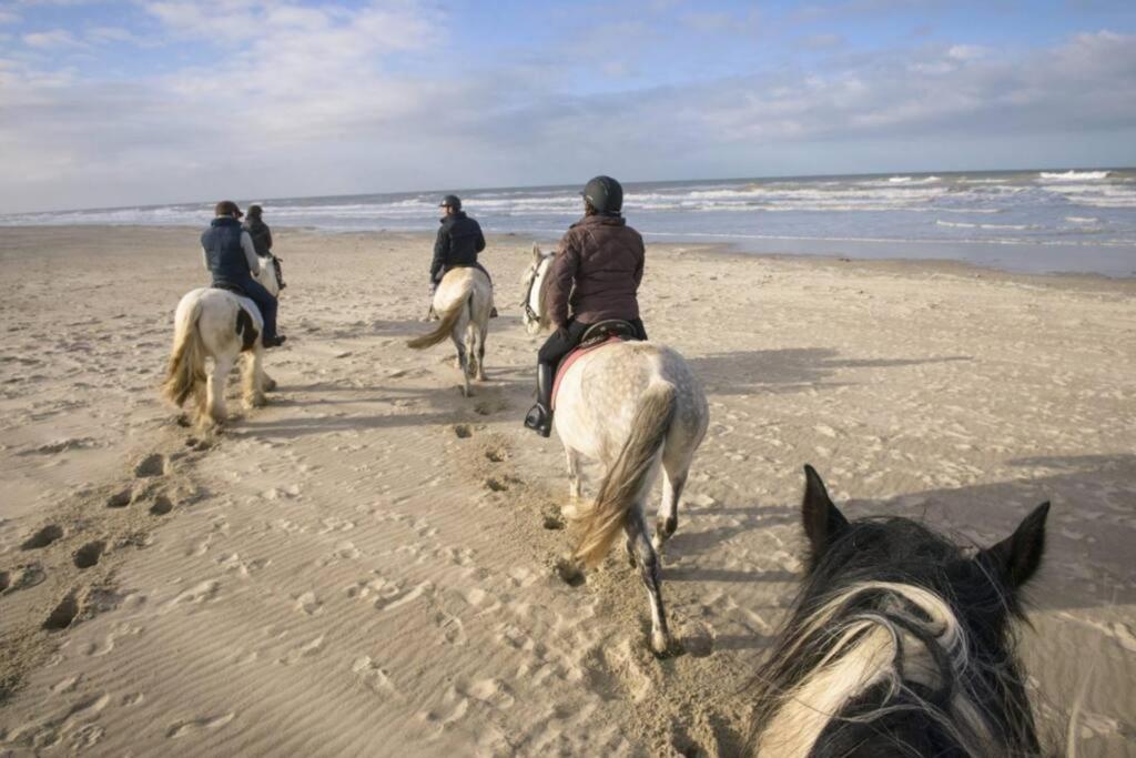 Maison Independante De Vacances Hardelot Plage Neufchâtel-Hardelot エクステリア 写真